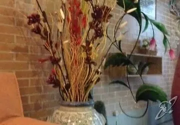 帕克酒店 酒店 圣彼得罗-泰尔梅堡