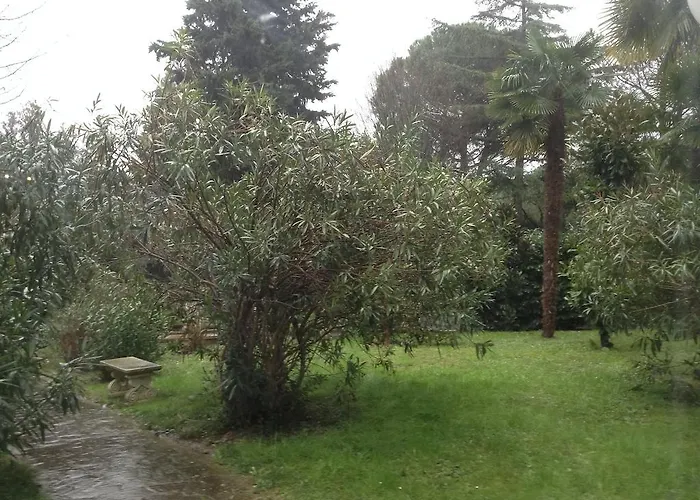 Отель Park 3*